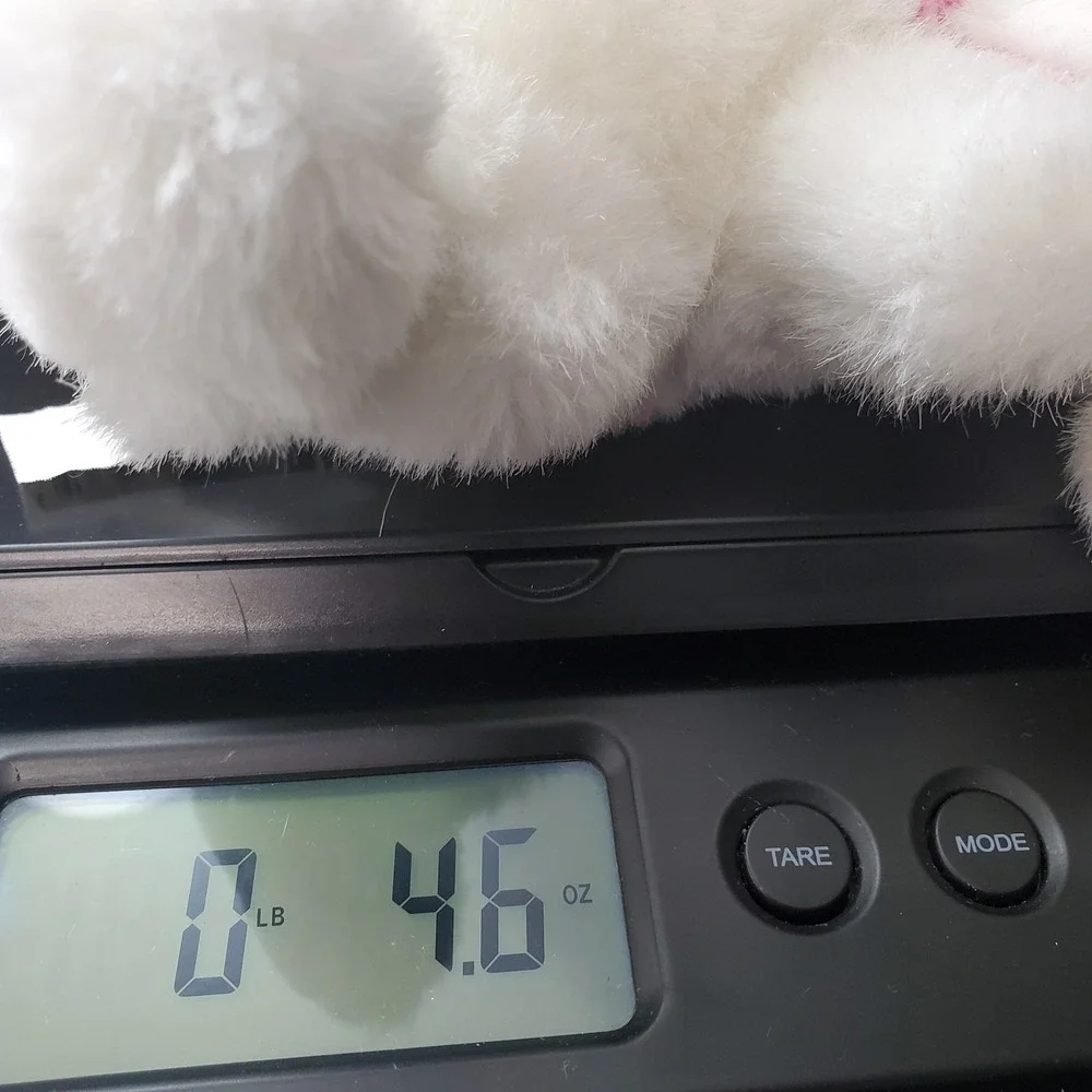 Walmart White Easter Bunny Rabbit Bean Bag Plush‎ Stuffed Animal 7